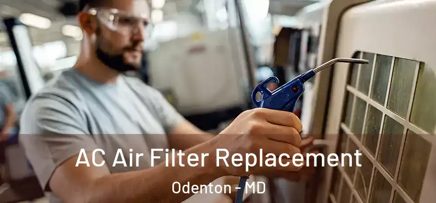  AC Air Filter Replacement Odenton - MD
