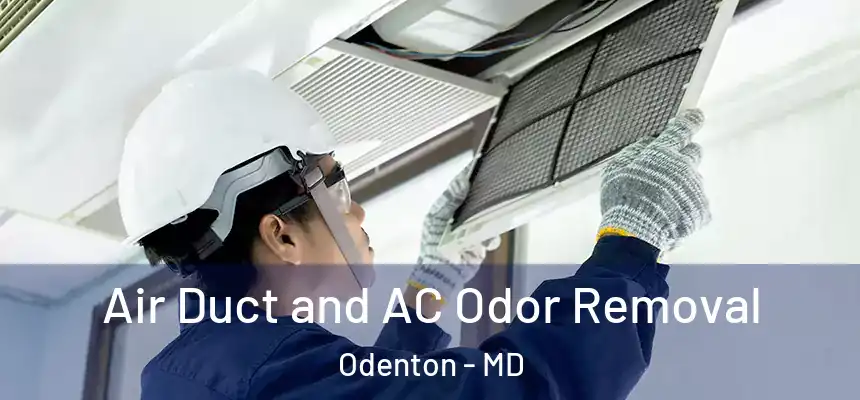  Air Duct and AC Odor Removal Odenton - MD