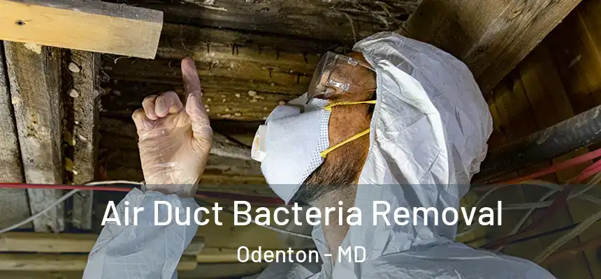  Air Duct Bacteria Removal Odenton - MD