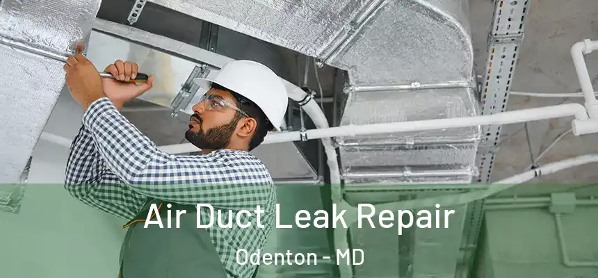  Air Duct Leak Repair Odenton - MD