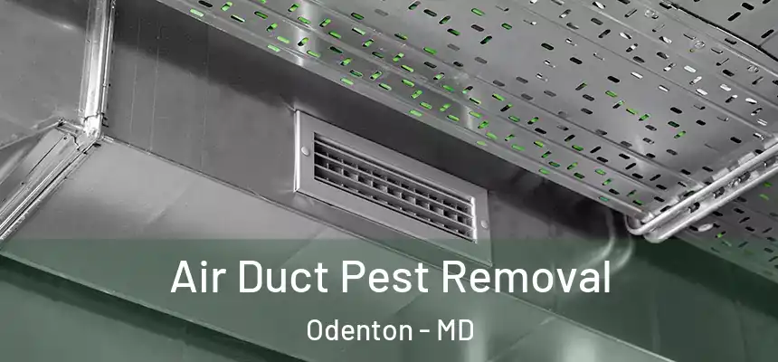  Air Duct Pest Removal Odenton - MD