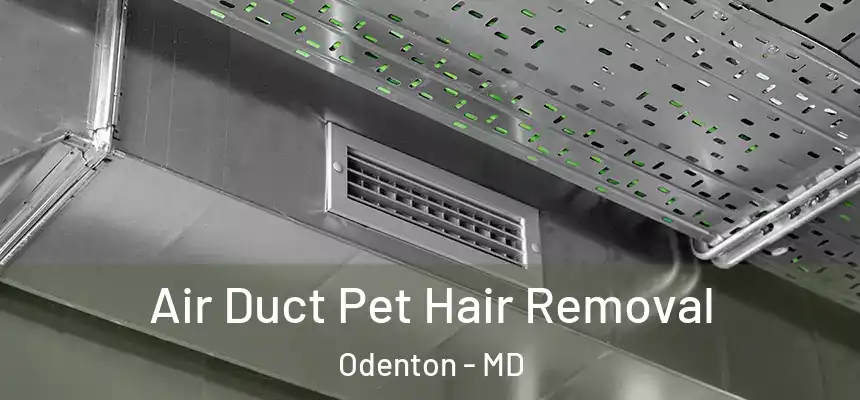  Air Duct Pet Hair Removal Odenton - MD