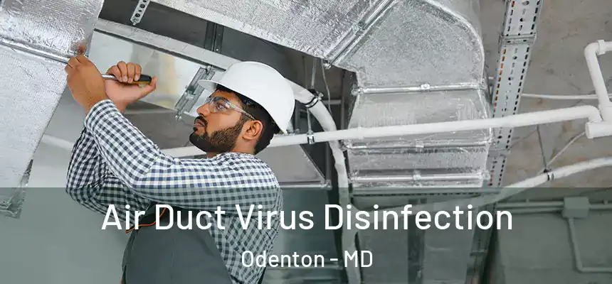 Air Duct Virus Disinfection Odenton - MD