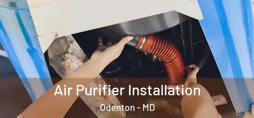  Air Purifier Installation Odenton - MD