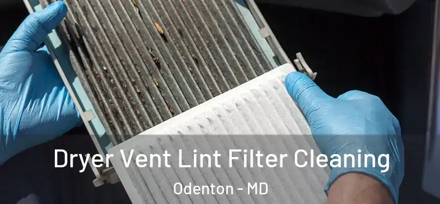  Dryer Vent Lint Filter Cleaning Odenton - MD