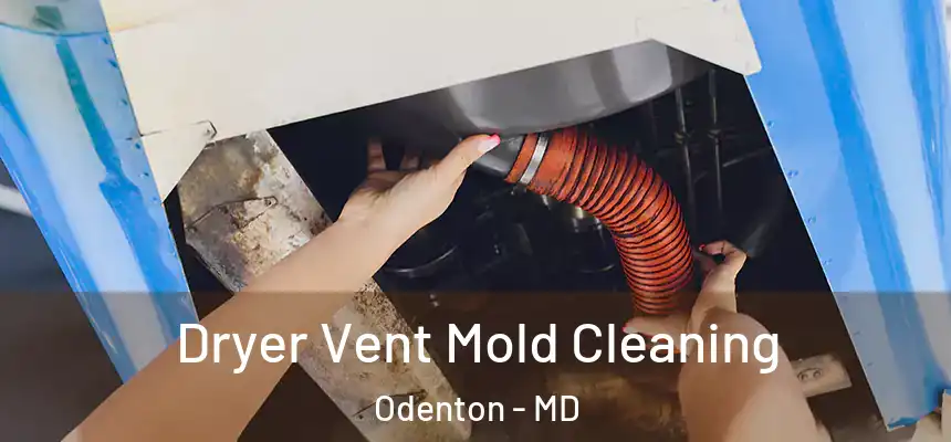 Dryer Vent Mold Cleaning Odenton - MD