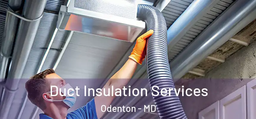  Duct Insulation Services Odenton - MD