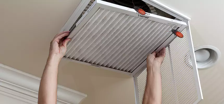Preventive Cockroach-Proofing for Ducts in Odenton