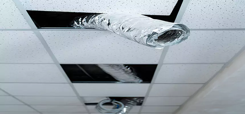 Our Air Duct Pet Hair Removal Services in Odenton, MD