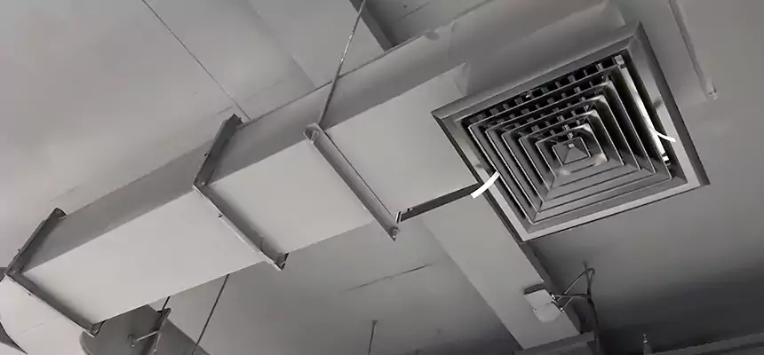 Restorative Allergy Relief Vent Cleaning – Coil, Blower & Housing Detail in Odenton