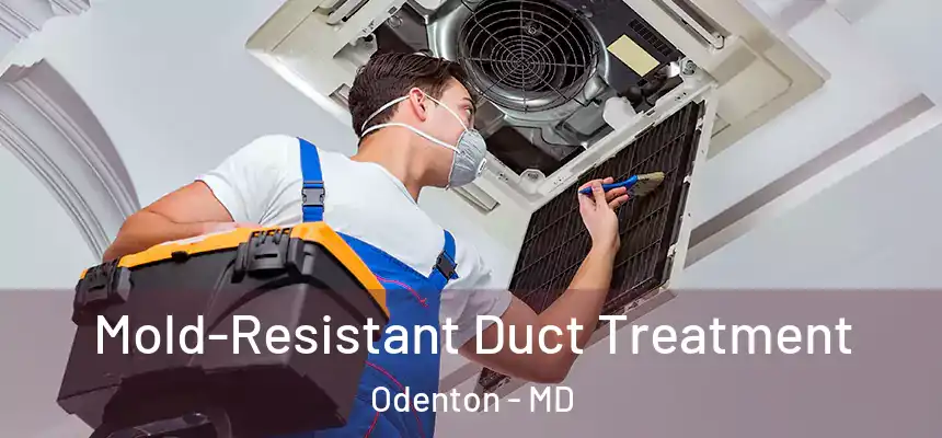  Mold-Resistant Duct Treatment Odenton - MD