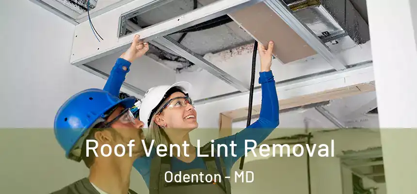Roof Vent Lint Removal Odenton - MD