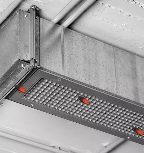 About Air Duct Cockroach Removal in Odenton, MD