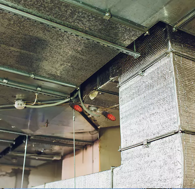 Why Homeowners & Businesses Trust Us in Odenton, MD?