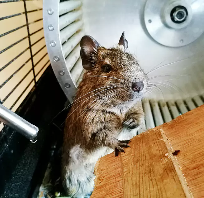 Why Homeowners & Businesses Trust Us Odenton, MD