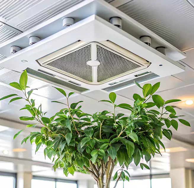 Why Homeowners & Businesses Trust Us in Odenton, MD?