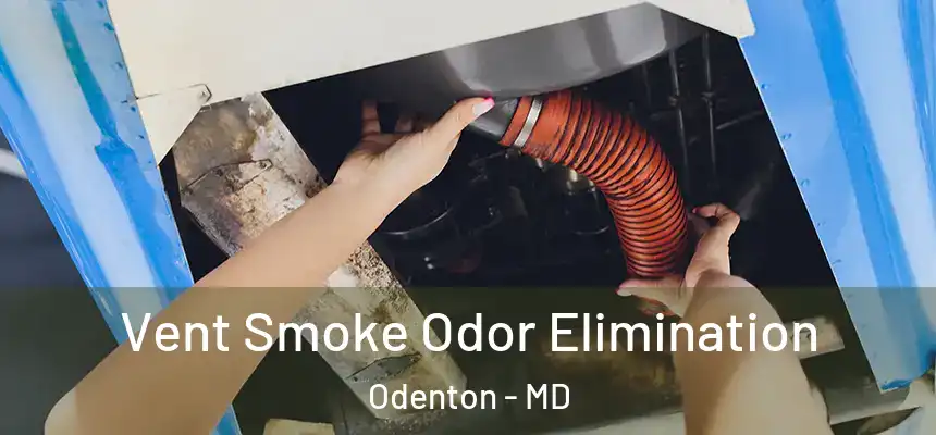  Vent Smoke Odor Elimination Odenton - MD